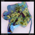 Massane、Panama - Nowhere to Hide (Angara Remix)
