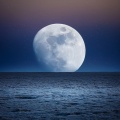 Música del domingo por la noche、Calentadores nocturnos、Sonido de la naturaleza durmiente - Melodías Suaves Que Arrullan El Sueño