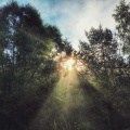 Spa Music Relaxation、SPA、Yoga - Mindful Meditation Frequencies 432Hz