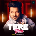 Shahid Mallya - Tere Bina