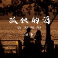 凝音 - 孤独的酒