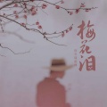 百万调音师 - 梅花泪