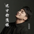 张偲偲 - 风中的遗憾