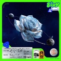 卫彬月、曾涵江Cup - 光合作用 (Love Growth)