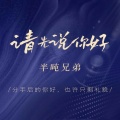 半吨兄弟 - 请先说你好