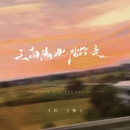 王虹-王棚主 - 天南海北陪你走