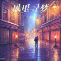DJ诗意 - 风里寻梦 (DJ诗意|陈婉菁 remix)