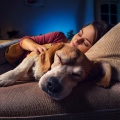 Ritmos de hip hop LoFi、Canciones para que los perros duerman、Música para calmar perros - Melodías De Ensueño Alivian La Ansiedad