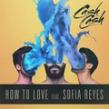 Cash Cash、Sofia Reyes - How To Love (Extended Mix)