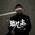 王虹-王棚主 - 踏凡尘