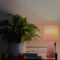 Spa Music Relaxation、SPA、Yoga - Away We Go