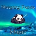 Delta Hz、Cat Music Therapy、Sleeping Panda Music - Deep Sleep Music with Ocean Waves