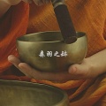 Yoga Featured Music、เพลงโยคะ、艾米希瑜珈之音 - 静心