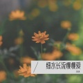 琪琪 - 细水长流慢慢爱