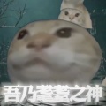 大清第一巴图鲁 - 耄耋之神哈基米