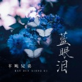 半吨兄弟 - 蓝眼泪
