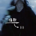羊羊 - 情歌