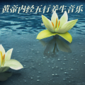 谢 - 五音疗疾调养五脏:商音入肺 增强机体