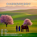 侃侃 - 我在那拉提牵过你的手