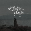田园 - 唱着情歌流眼泪