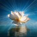 Tranquil Relaxation Sounds、Music Instructor、Riverfall Science - Calm Spirit