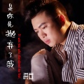 洪立 - 是你先抛弃了我