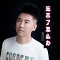 陈玉建 - 忘不了怎么办