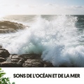 Dog Relaxation、Ocean Sounds Plus、Travail Bureau France - Harmonische Erneuerung