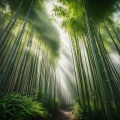 Lofi Chill Beats to Relax、Relaxing Time Music、Relaxation Music Guru - Calm Echoes