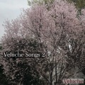 Veluche、初音ミク - recogition