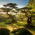 Binaural Nature Sounds Relaxing、Max Relaxation、Relaxing Music Therapy Luxury - The Endless Melody Of Calm
