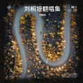 刘桐银 - 歌曲：有山有海有你