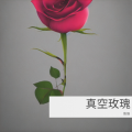 陈惟 - 真空玫瑰