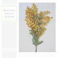 A23LAB. - chamomile