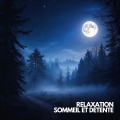Musique Calme et Relaxation、Relaxation Sommeil et Détente、Musique de Relaxation - Caricias del Mar