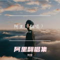 阿里 - 凌晨四点的海棠花未眠