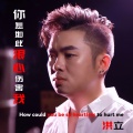 洪立 - 你怎如此狠心伤害我