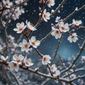 黄晶 - 梅花赋