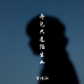 曾诗涵 - 再见只是陌生人