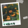 吉瑞 - 不是我无情