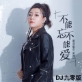 吉萍 - 不能忘不能爱