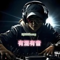 DJZBZhang - dj旋律 (DjZakaiy remix)