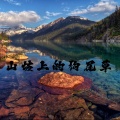 煜坤 - 山坡上的狗尾草