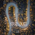 任秋 - 你走以后