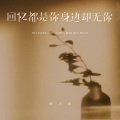 杨不乖 - 回忆都是你身边却无你
