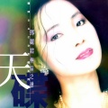 邓丽君 - 恰似你的温柔