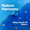 Sleep Sounds of Nature - Birds