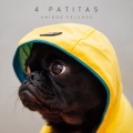 Biblioteca de Música Para Mascotas、Musica para dormir para perros、Amigo Canino Sonidos - Deleite De Cachorros