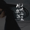 王理事 - 风吹散的温柔