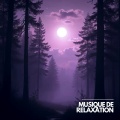 Musique Calme et Relaxation、Relaxation Sommeil et Détente、Musique de Relaxation - Aube Tranquille